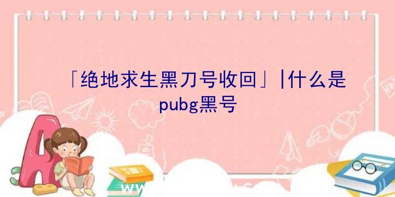 「绝地求生黑刀号收回」|什么是pubg黑号